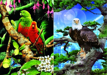 3D Picture 9582--Eagle in Tree/Exotic BIRDs