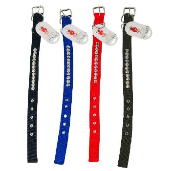 20" Medium Studded Dog Collar